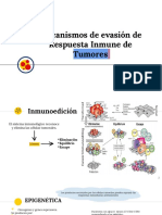 Mecanismos de Evasion de RI de Tumores