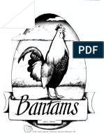 Chicken Bantam