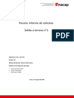 Informe de Calicata Junio 17 de 2019