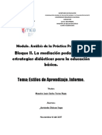 Informe de Estilos de Aprendizajes