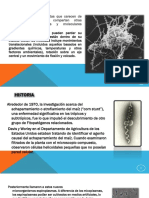 Expo Spiroplasmas