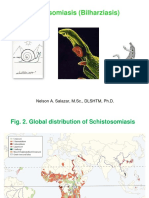 Schistosomiasis (Bilharziasis) : Nelson A. Salazar, M.SC., DLSHTM, PH.D