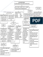 Mapa Conceptual Ley 1116