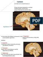 Anatomy of The Limbic System