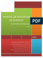 Manual Descriptor de Puestos8