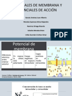 Potencial de Membrana