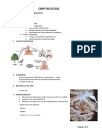 Criptococosis PDF