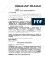 Medidas de Proteccion Por VF A Favor Menor de Edad, Tenencia y Reg Visita