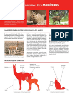 Zoología - Mamíferos - Taxonomía PDF