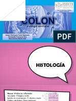 Patologia Quirurgica de Colon