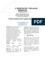 07.1 Informe - Celulas Vegetales y Animales