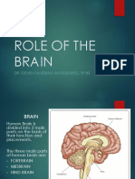 Role of The Brain: Dr. Steven Tandean, M.Ked (Surg), SP - Bs