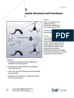 Psychedelics Promote Structural and Functional Neural Plasticity