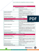 Indicadores de SST PDF