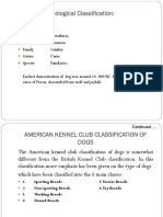 Zoological Classification:: Carnivora: Canidae