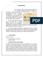 Fagocitosis Tipos y Clasificacion