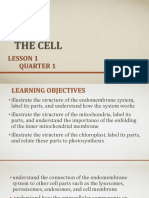 L1 Q1 The Cell