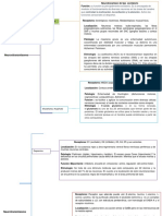 Cuadro Sinoptico Neurotransmisores