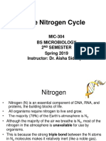 The Nitrogen Cycle: MIC-304 Bs Microbiology 2 Semester Spring 2019 Instructor: Dr. Aisha Siddique