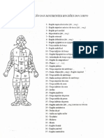 Regiões Do Corpo Humano