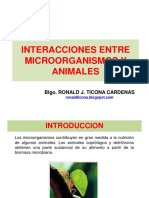 Interacciones de Microorganismos Con Animales