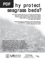 201001WhyProtectSeagrassBeds PDF