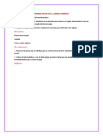 Informe Practico Laboratorio n1