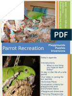 Parrot Recreation: Playgrounds, Puzzles, Diversions