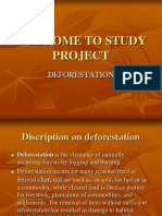 Welcome To Study Project: Deforestation