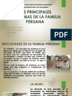 Principales Problemas de Las Familias Peruanas