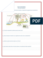 15 F0iutM7m Guiadeactividades - Ciclodelcarbono