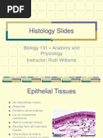 Histology Slides