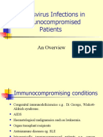 Herpesvirus Infections in Immunocompromised Patients: An Overview