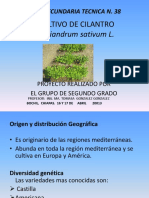 Cultivodecilantrotec38 140211200608 Phpapp02