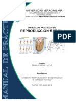 28 Manual de Practicas de Reproduccion Animal PDF