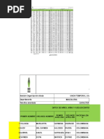 Nombres de Grupos