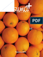 66 Suma PDF