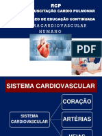 Anatomia Do Coraçâo Dra Milka