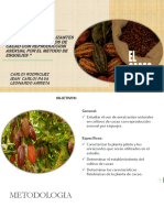 Evaluacion de Enraizantes Naturales en Cultivos de