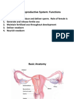 4 Endocrine 6