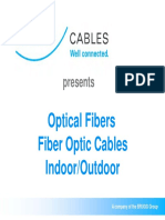 04 Web Fiber Present en