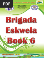 Brigada Template 2019