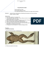 Frog Dissection Guide