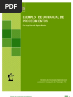 Ejemplo Manual Procedimientos