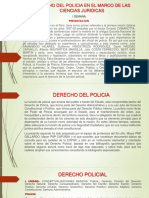 Derecho de Policia