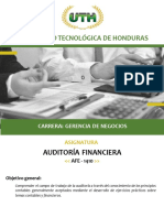 Modulo IV Auditoria Financiera