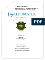 Study of Different Verticals in Electrosteel Steels Limited (ESL)