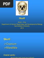 Skull: Anna L. Kiss Department of Human Morphology and Developmental Biology Semmelweis University 2015