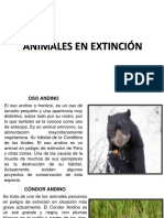 Animales en Peligro de Extincion