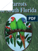 Parrots of South Florida by Susan Allene Epps